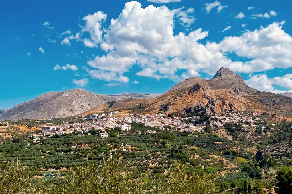 Vista de Cogollos de la Vega