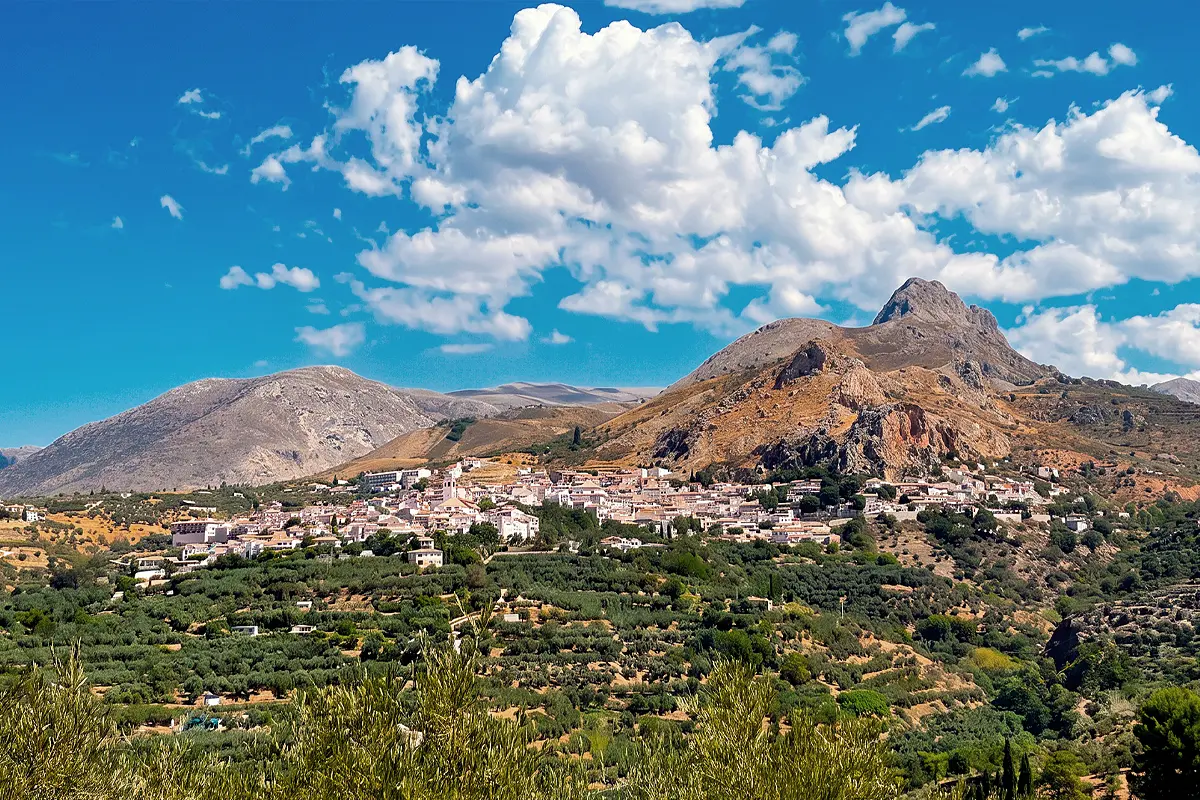 Vista de Cogollos de la Vega