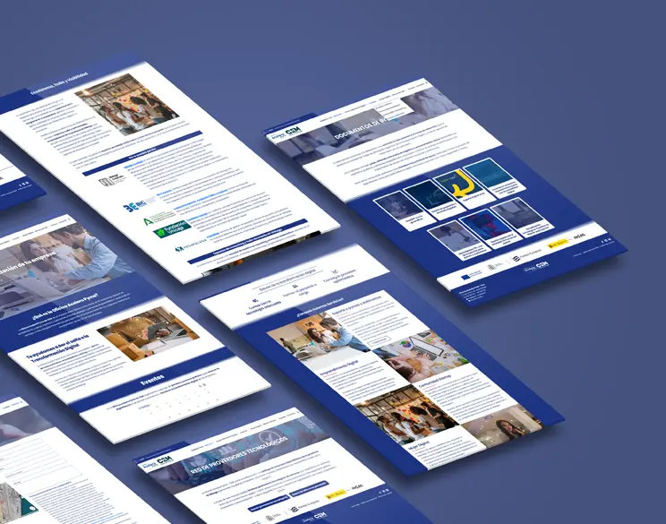 Ver proyecto web de Acelera Pyme CEM