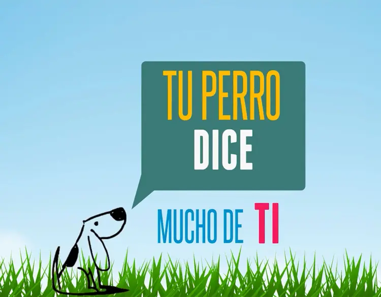 Ver proyecto web Cuida Mijas