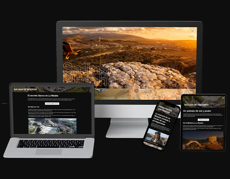 Ver proyecto web Salinas de la Malahá