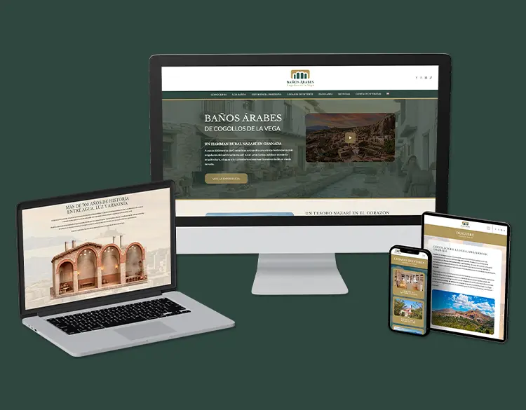 Ver proyecto web Cogollos Vega