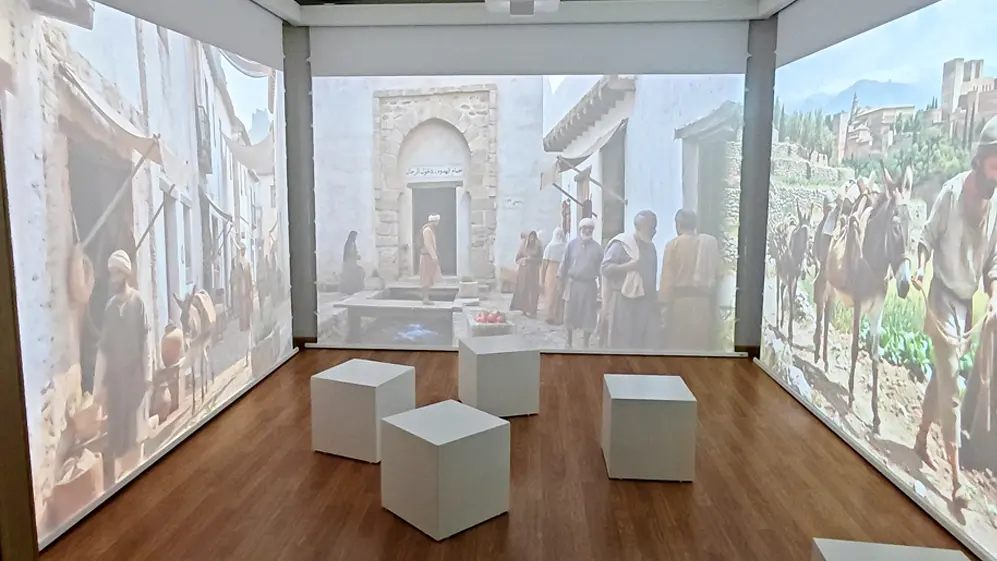 Musealización Cogollos Vega
