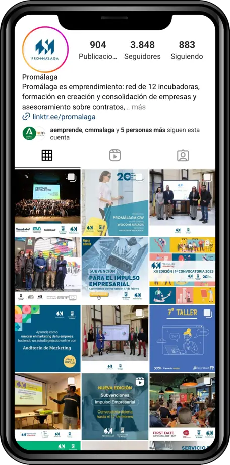 Ejemplo de Redes Sociales Málaga